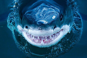 十大外围足球大平台-《国王理查德》曝片场照威尔·史密斯饰网坛教父(图2) 十大外围足球平台app