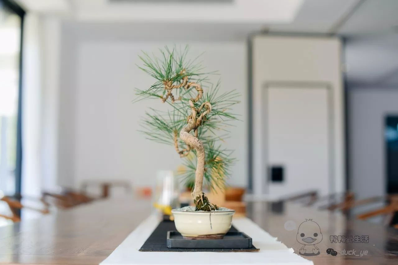 十大外围足球平台app手机版|坦诚相见更有利于融合感情(图2) 十大外围足球大平台