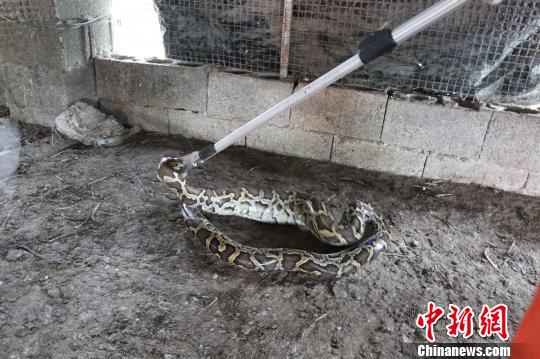 十大外围足球平台app手机版