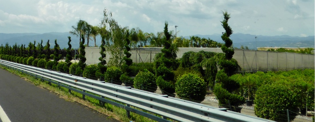 外八门之局中局开机 方楚彤惊艳亮相突破自我【十大外围足球平台app手机版】(图1) 十大外围足球平台app