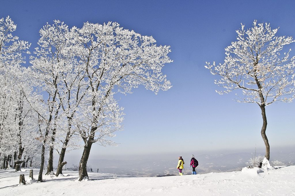 十大外围足球大平台|2020贺岁档电影预售已开启 《唐人街探案3》一骑绝尘(图2) 十大外围足球大平台