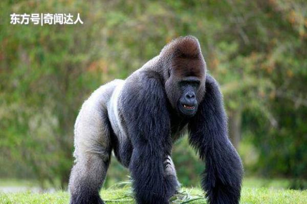 十大外围足球平台app手机版:传奇杂志《电影手册》全体编辑辞职 与新股东未来发展方向意见相左(图2) 十大外围足球平台app手机版