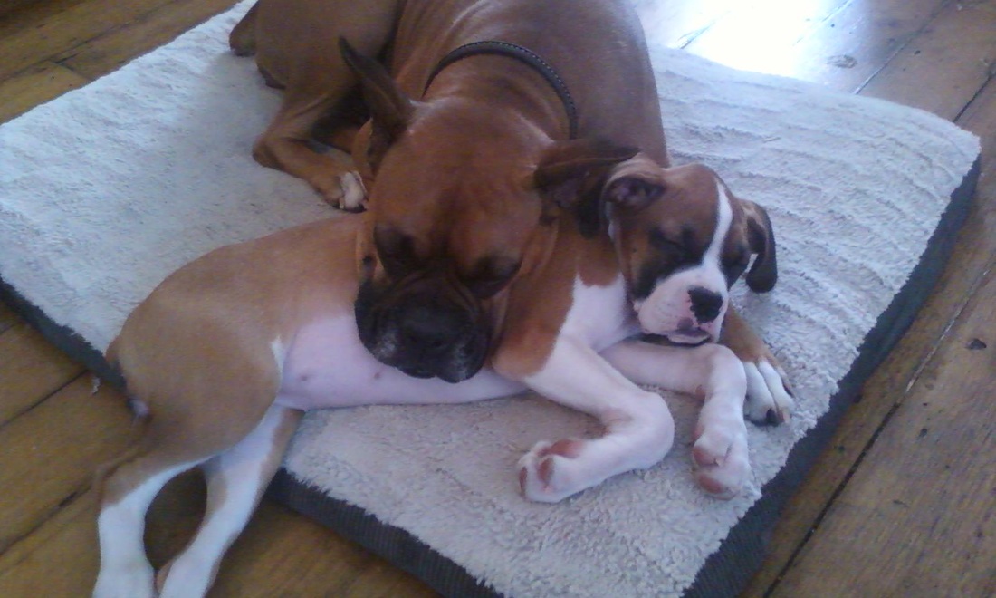 贵州高坡存“红军标语”墙仍完好无损-十大外围足球平台app(图2) 十大外围足球大平台