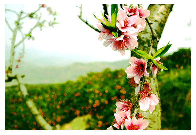 十大外围足球平台app手机版