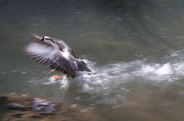 十大外围足球平台app手机版