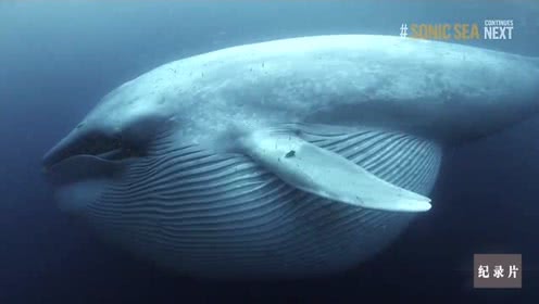 十大外围足球大平台-《无主之城》江雪身世之谜揭晓 许龄月走心演技令人动容