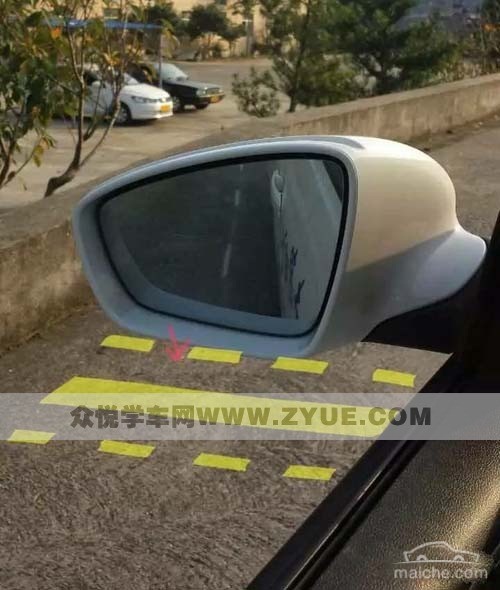 谷文泽主演《丛林历险记》将上映 开启丛林求生冒险之旅_十大外围足球平台app(图2) 十大外围足球平台app