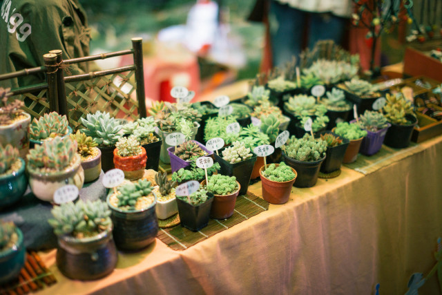 十大外围足球平台app手机版_从这几个小细节中,判断男人心里是否还有你(图2) 十大外围足球平台app手机版