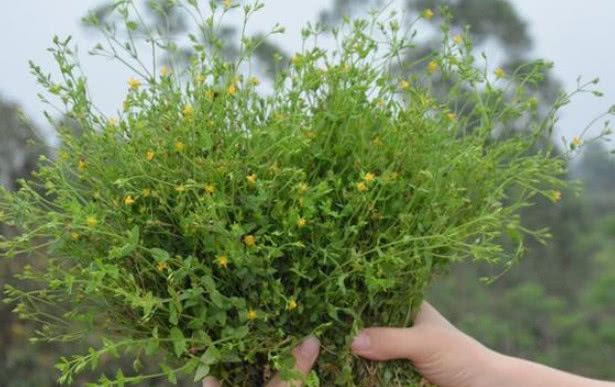 十大外围足球平台app手机版