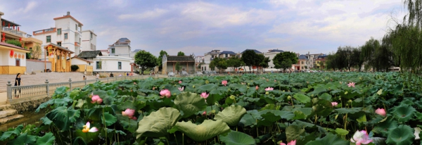 《野王》影评摘抄“十大外围足球大平台”(图1) 十大外围足球大平台