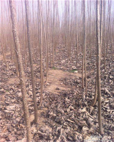 怯场妈妈为女登上《妈妈咪呀》，“博士后导师”诲人不倦获赞：十大外围足球大平台