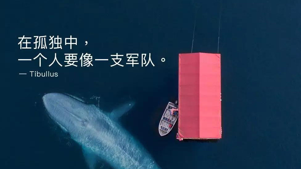 十大外围足球大平台