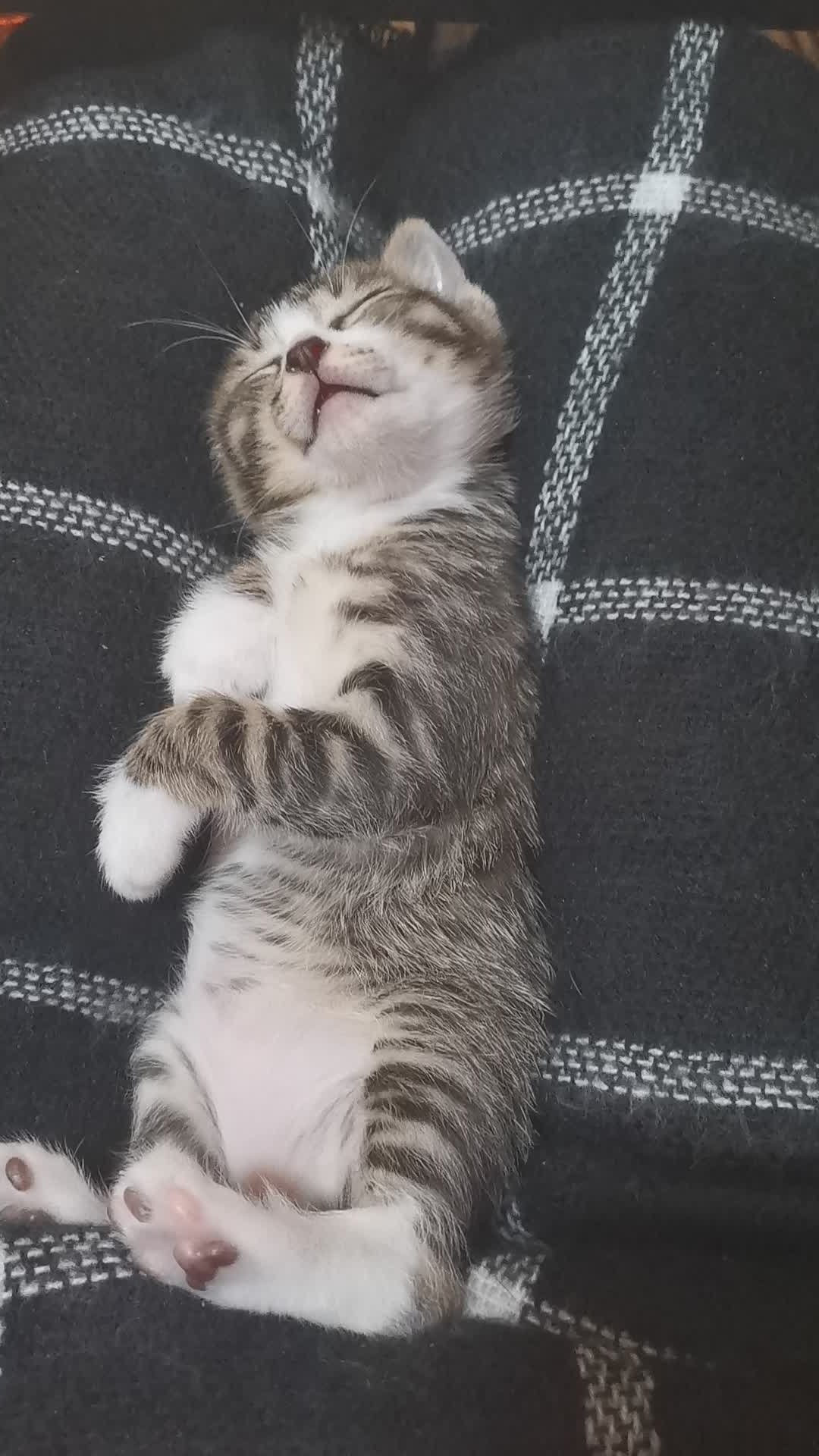 十大外围足球大平台