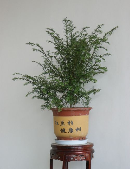 十大外围足球平台app