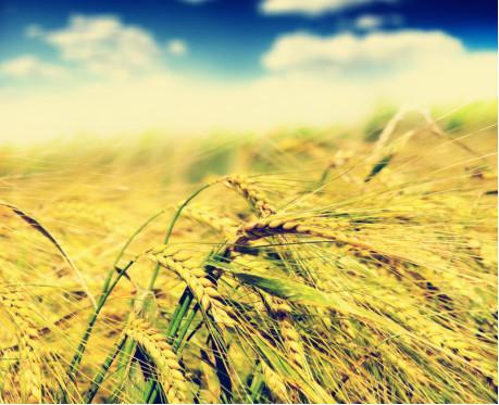 十大外围足球大平台