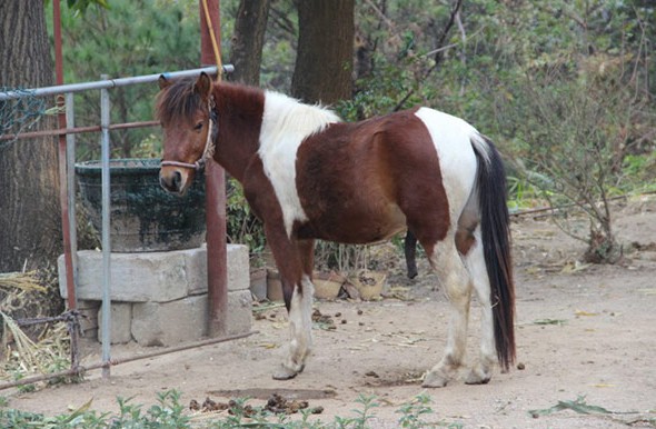 十大外围足球平台app