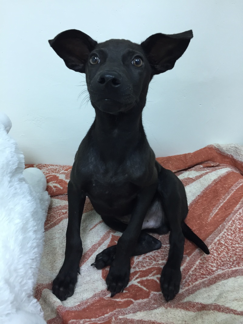 十大外围足球大平台