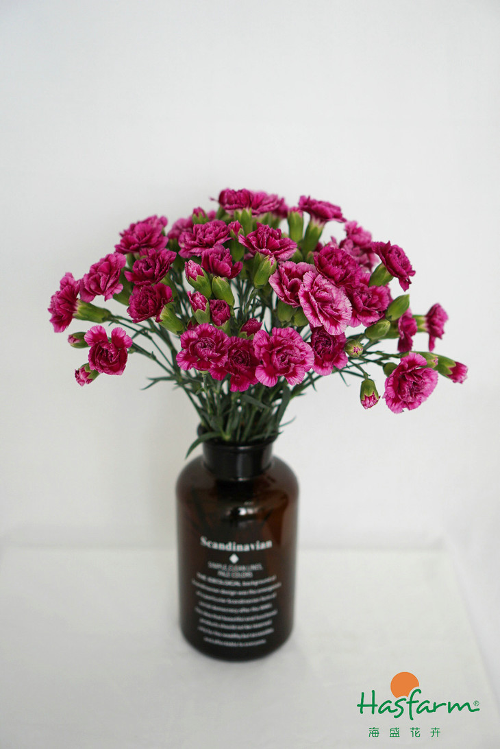 十大外围足球平台app手机版