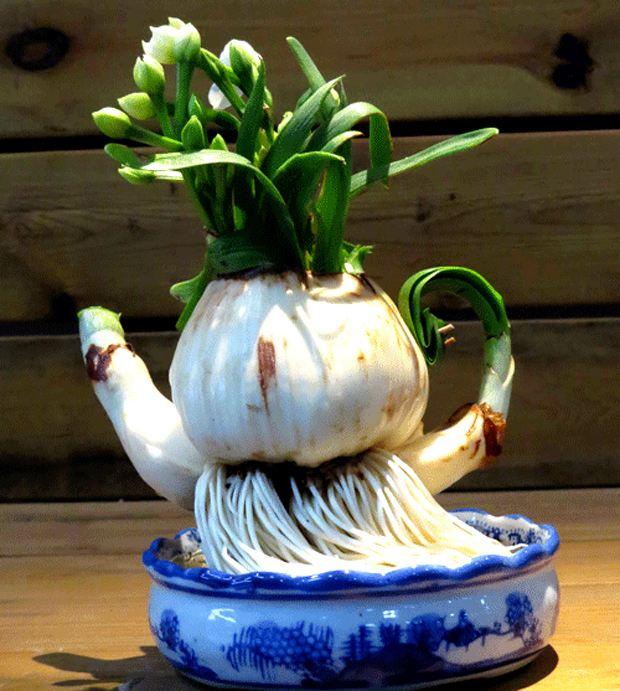 十大外围足球大平台