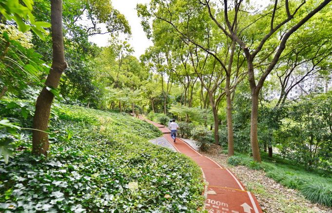 红宝石渐成收藏市场新宠《鸽血红》最为珍贵|十大外围足球平台app手机版(图2) 十大外围足球大平台